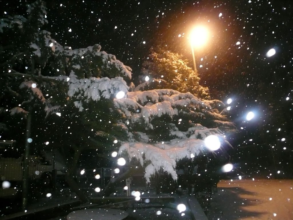 2010 Winterparty